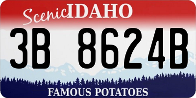 ID license plate 3B8624B