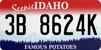 ID license plate 3B8624K