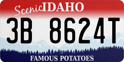 ID license plate 3B8624T