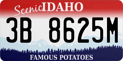 ID license plate 3B8625M