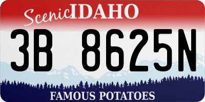 ID license plate 3B8625N