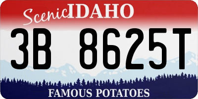 ID license plate 3B8625T