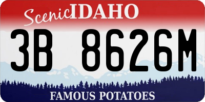 ID license plate 3B8626M