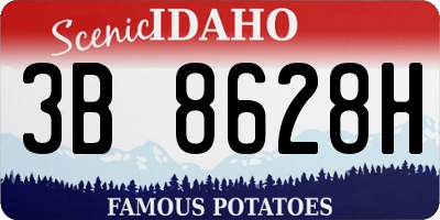 ID license plate 3B8628H