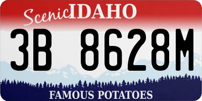 ID license plate 3B8628M