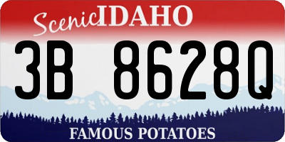 ID license plate 3B8628Q