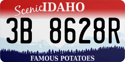 ID license plate 3B8628R