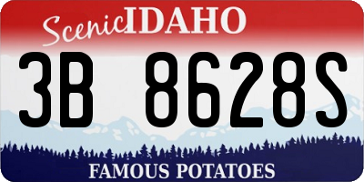 ID license plate 3B8628S