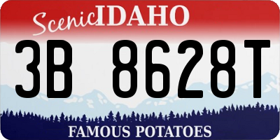 ID license plate 3B8628T