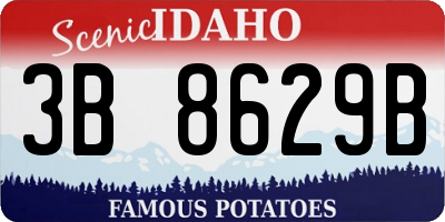 ID license plate 3B8629B
