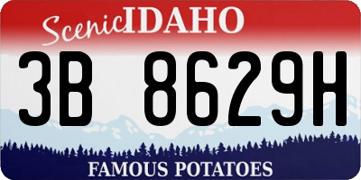 ID license plate 3B8629H