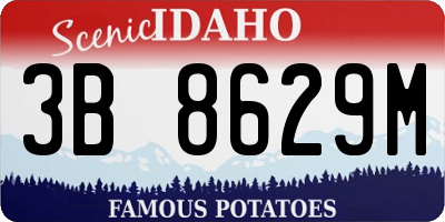 ID license plate 3B8629M