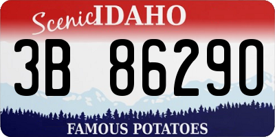ID license plate 3B8629O