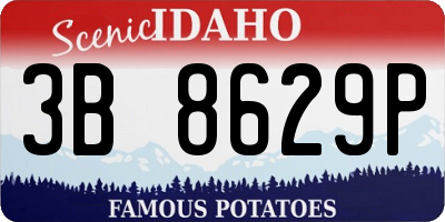 ID license plate 3B8629P