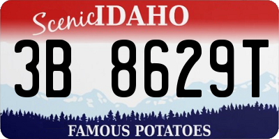ID license plate 3B8629T