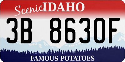 ID license plate 3B8630F