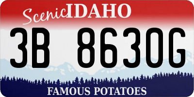 ID license plate 3B8630G