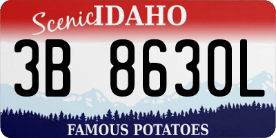ID license plate 3B8630L