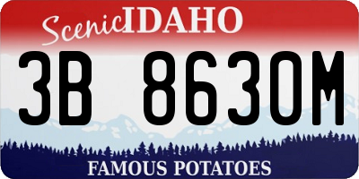 ID license plate 3B8630M