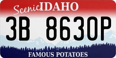 ID license plate 3B8630P