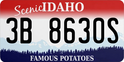 ID license plate 3B8630S