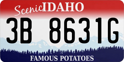 ID license plate 3B8631G