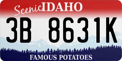 ID license plate 3B8631K