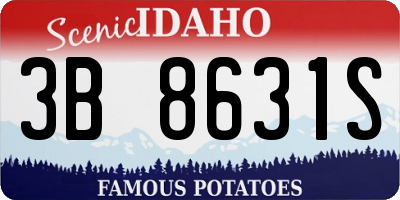 ID license plate 3B8631S
