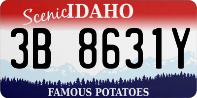 ID license plate 3B8631Y