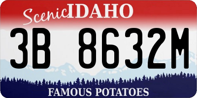 ID license plate 3B8632M
