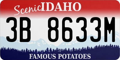 ID license plate 3B8633M