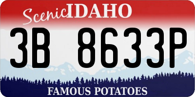 ID license plate 3B8633P