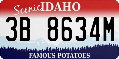 ID license plate 3B8634M