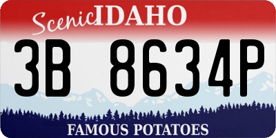 ID license plate 3B8634P