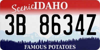 ID license plate 3B8634Z