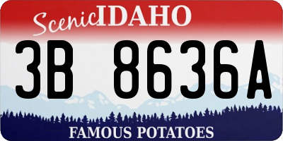 ID license plate 3B8636A