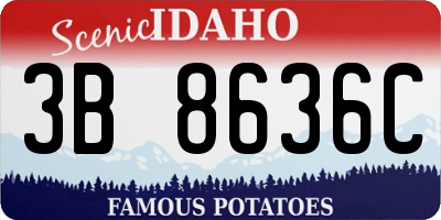 ID license plate 3B8636C