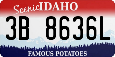 ID license plate 3B8636L