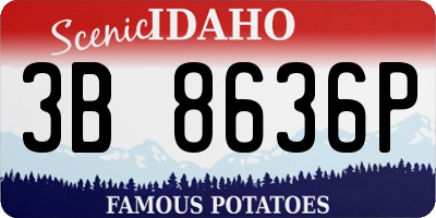 ID license plate 3B8636P