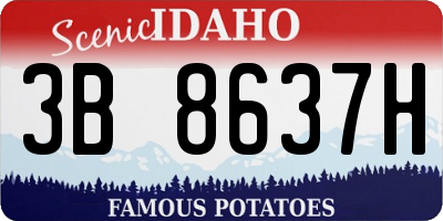 ID license plate 3B8637H