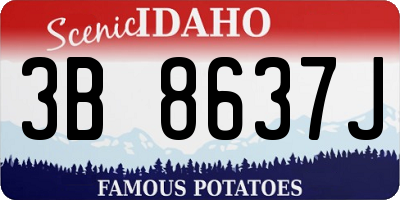 ID license plate 3B8637J