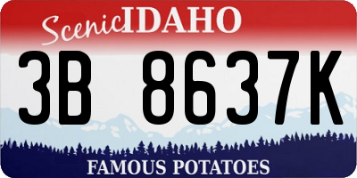 ID license plate 3B8637K