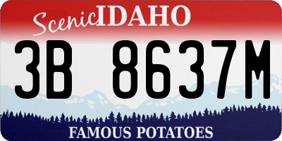 ID license plate 3B8637M