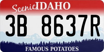 ID license plate 3B8637R