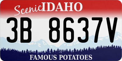 ID license plate 3B8637V