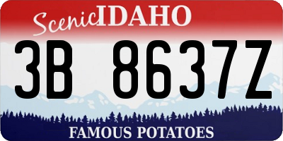 ID license plate 3B8637Z