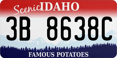ID license plate 3B8638C