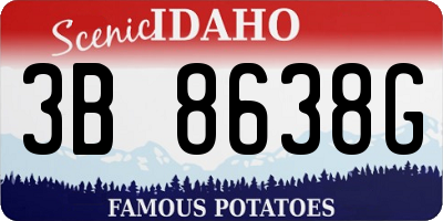 ID license plate 3B8638G