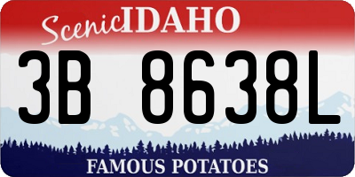 ID license plate 3B8638L