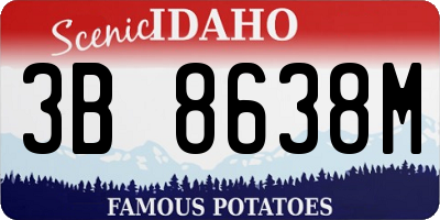 ID license plate 3B8638M